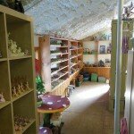 Newly Expanded Fairy Garden Area